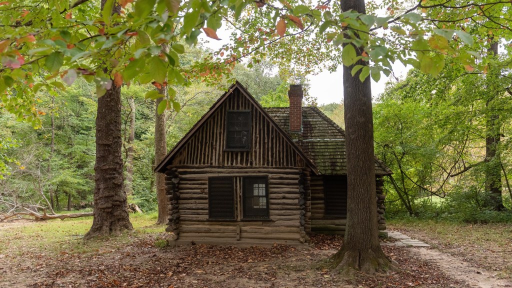 A rustic wooden cabin surrounded by trees in a forested area, showcasing a cozy and inviting atmosphere.