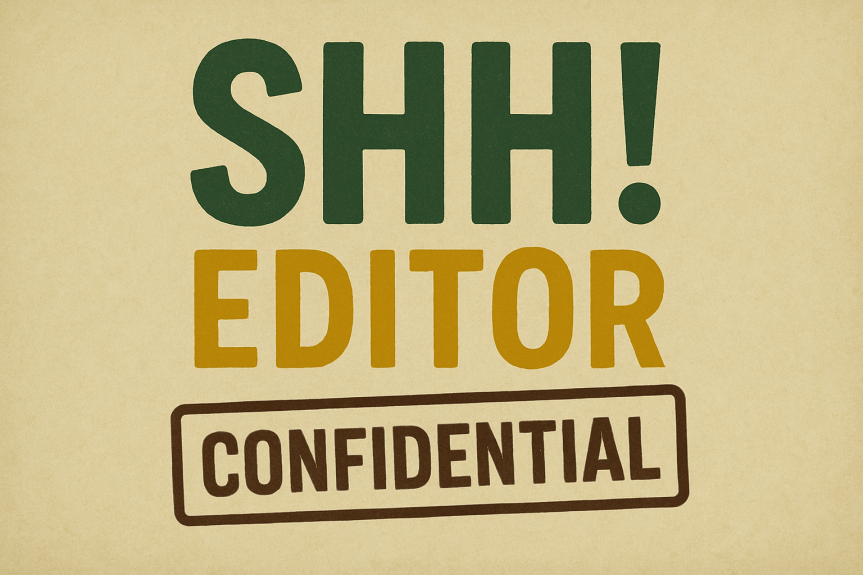 Shh! Editor Confidential: An Interview with Rita Pickler, PhD, RN, FAAN